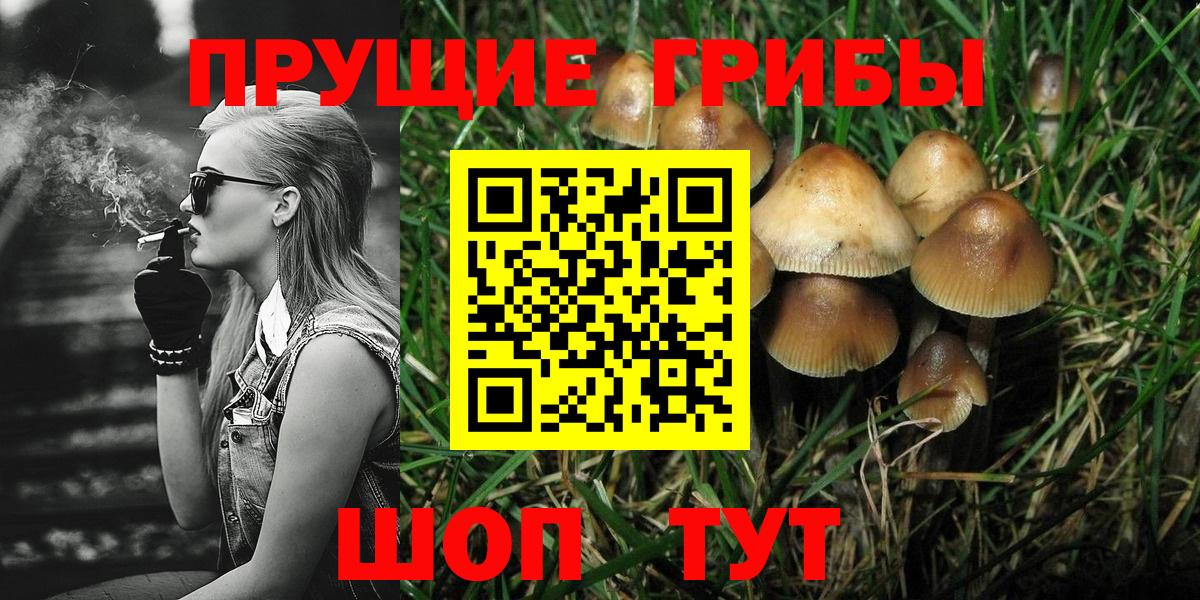 Псилоцибиновые грибы Magic Shrooms Старая Купавна